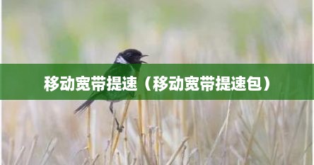 移动宽带提速（移动宽带提速包）