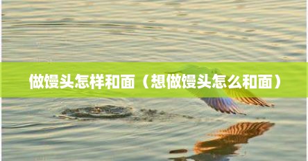 做馒头怎样和面（想做馒头怎么和面）