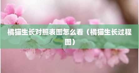 橘猫生长对照表图怎么看（橘猫生长过程图）