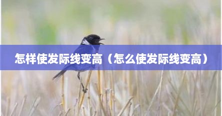 怎样使发际线变高（怎么使发际线变高）