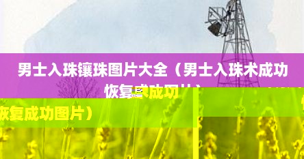 男士入珠介绍（男士入珠的缺点）