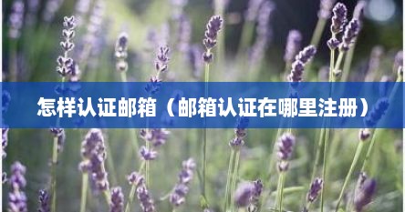 怎样认证邮箱（邮箱认证在哪里注册）