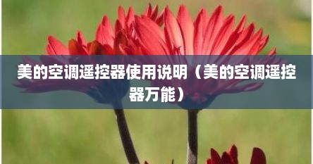 美的空调遥控器功能说明（美的空调遥控器—美的空调遥控器使用说明）