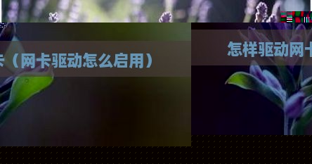 怎样驱动网卡（网卡驱动怎么启用）