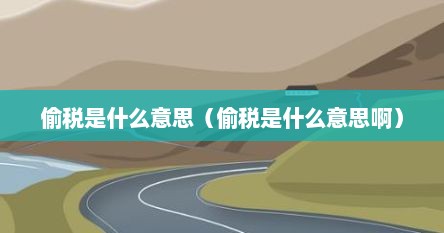 偷税是什么意思（偷税是什么意思啊）