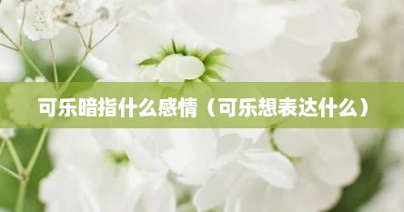 可乐暗指什么感情（可乐想表达什么）