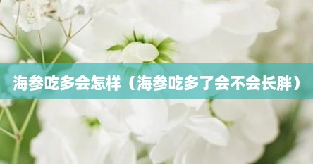 海参吃多会怎样（海参吃多了会不会长胖）
