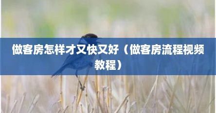 做客房怎样才又快又好（做客房流程视频教程）