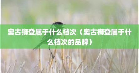 奥古狮登属于什么档次（奥古狮登属于什么档次的品牌）