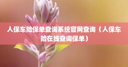 人保车险保单查询系统官网查询（人保车险在线查询保单）