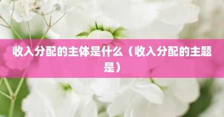 收入分配的主体是什么（收入分配的主题是）