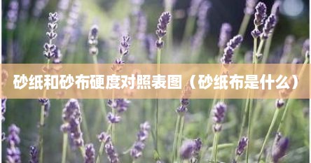 砂纸和砂布硬度对照表图（砂纸布是什么）