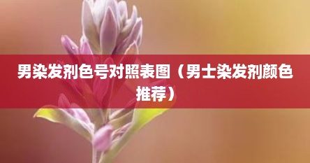 男染发剂色号对照表图（男士染发剂颜色推荐）
