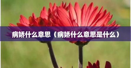 病娇什么意思（病娇什么意思是什么）