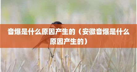 音爆是什么原因产生的（安徽音爆是什么原因产生的）