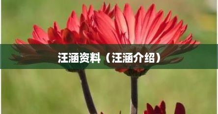 汪涵资料（汪涵介绍）