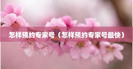 怎样预约专家号（怎样预约专家号最快）