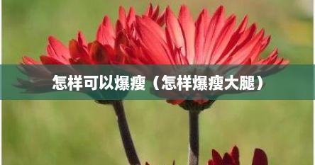 怎样可以爆瘦（怎样爆瘦大腿）