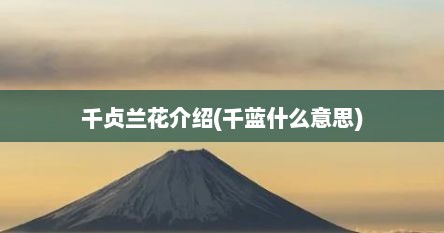 千贞兰花介绍(千蓝什么意思)