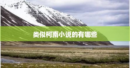 类似柯南小说的有哪些