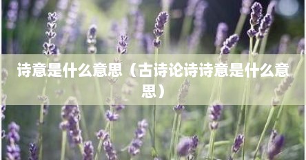 诗意是什么意思（古诗论诗诗意是什么意思）