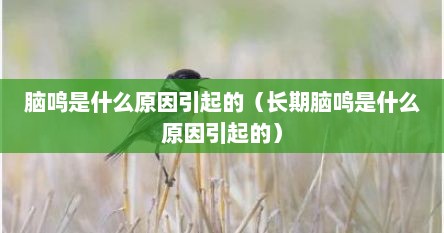 脑鸣是什么原因引起的（长期脑鸣是什么原因引起的）