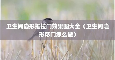 卫生间隐形推拉门效果图大全（卫生间隐形移门怎么做）