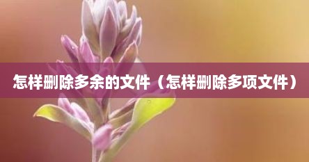 怎样删除多余的文件（怎样删除多项文件）