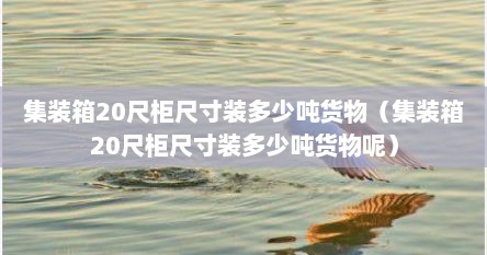 集装箱20尺柜尺寸装多少吨货物（集装箱20尺柜尺寸装多少吨货物呢）