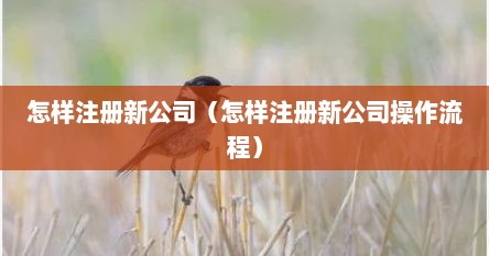 怎样注册新公司（怎样注册新公司操作流程）