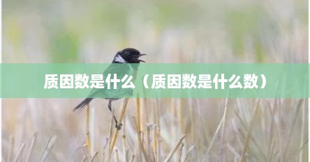 质因数是什么（质因数是什么数）
