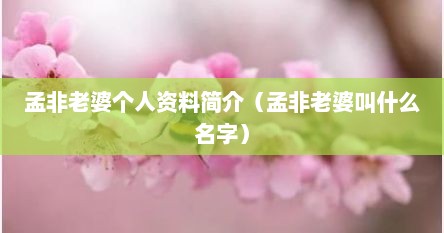 孟非老婆个人资料简介（孟非老婆叫什么名字）