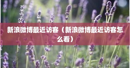 新浪微博最近访客（新浪微博最近访客怎么看）