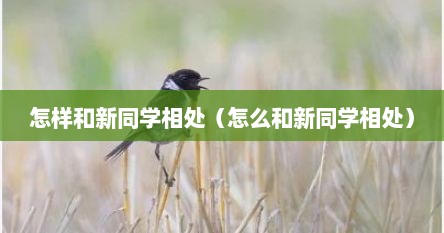 怎样和新同学相处（怎么和新同学相处）