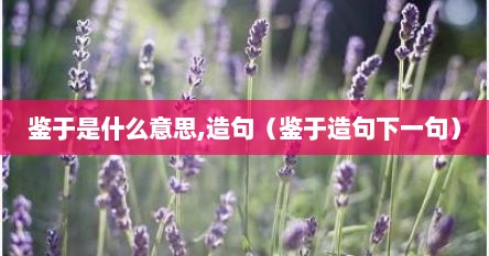 鉴于是什么意思,造句（鉴于造句下一句）
