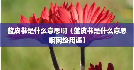 蓝皮书是什么意思啊（蓝皮书是什么意思啊网络用语）