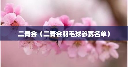 二青会（二青会羽毛球参赛名单）