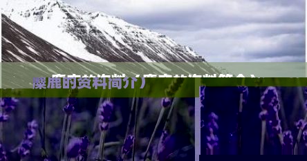 麋鹿的资料（麋鹿的资料简介）