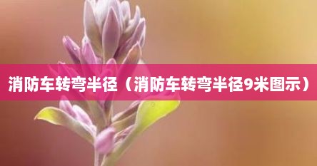 消防车转弯半径（消防车转弯半径9米图示）