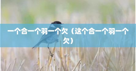 一个合一个羽一个欠（这个合一个羽一个欠）