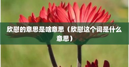 欣慰的意思是啥意思（欣慰这个词是什么意思）