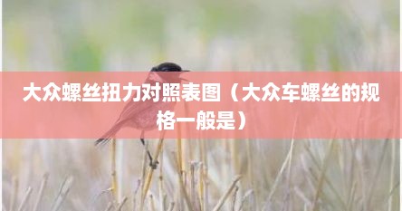 大众螺丝扭力对照表图（大众车螺丝的规格一般是）