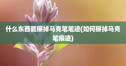 什么东西能擦掉马克笔笔迹(如何擦掉马克笔痕迹)