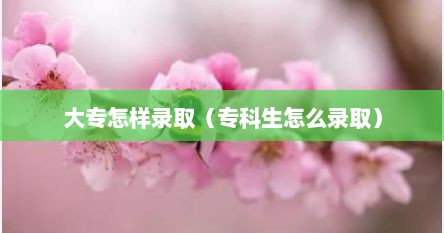 大专怎样录取（专科生怎么录取）