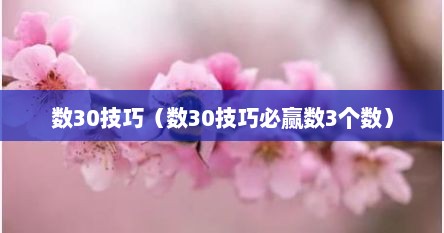 数30技巧（数30技巧必赢数3个数）