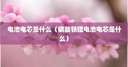 电池电芯是什么（磷酸铁锂电池电芯是什么）