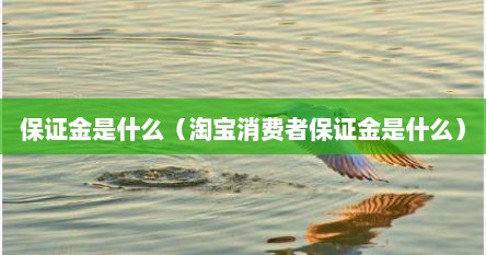 保证金是什么（淘宝消费者保证金是什么）