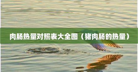 肉肠热量对照表大全图（猪肉肠的热量）