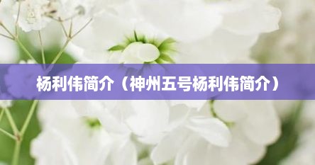 杨利伟简介（神州五号杨利伟简介）