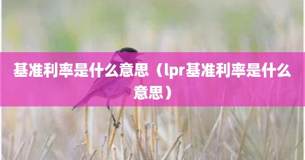 基准利率类型 lpr（基准利率通俗易懂）